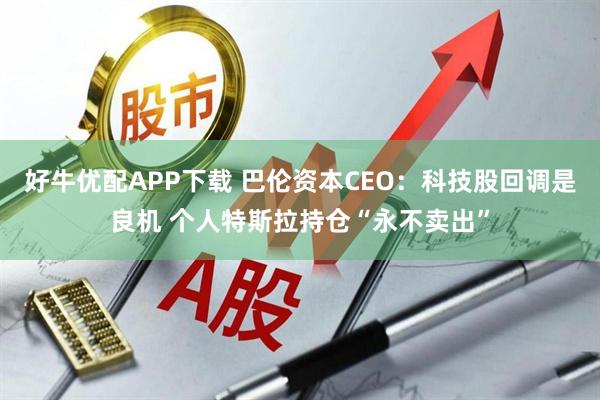 好牛优配APP下载 巴伦资本CEO：科技股回调是良机 个人特斯拉持仓“永不卖出”