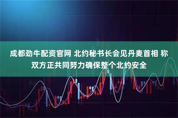 成都劲牛配资官网 北约秘书长会见丹麦首相 称双方正共同努力确保整个北约安全